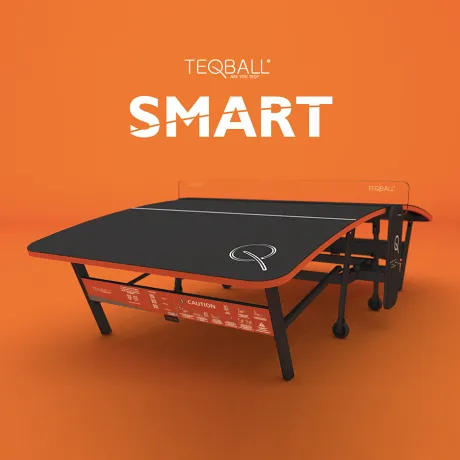 Всепогодный игровой стол TEQBALL SMART - Фото 8