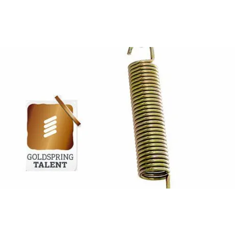 Батут Berg Talent 300 + сетка Comfort 300 - Фото 3