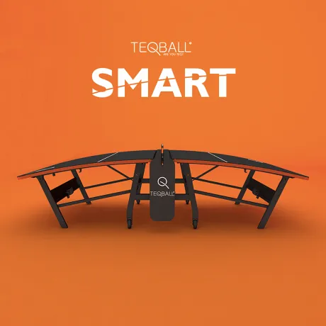 Всепогодный игровой стол TEQBALL SMART - Фото 9